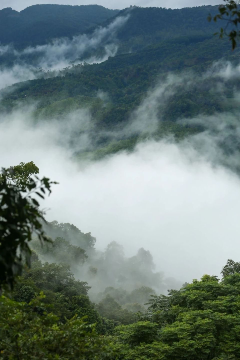 云南澜沧大山深处,云南澜沧边境乡村
