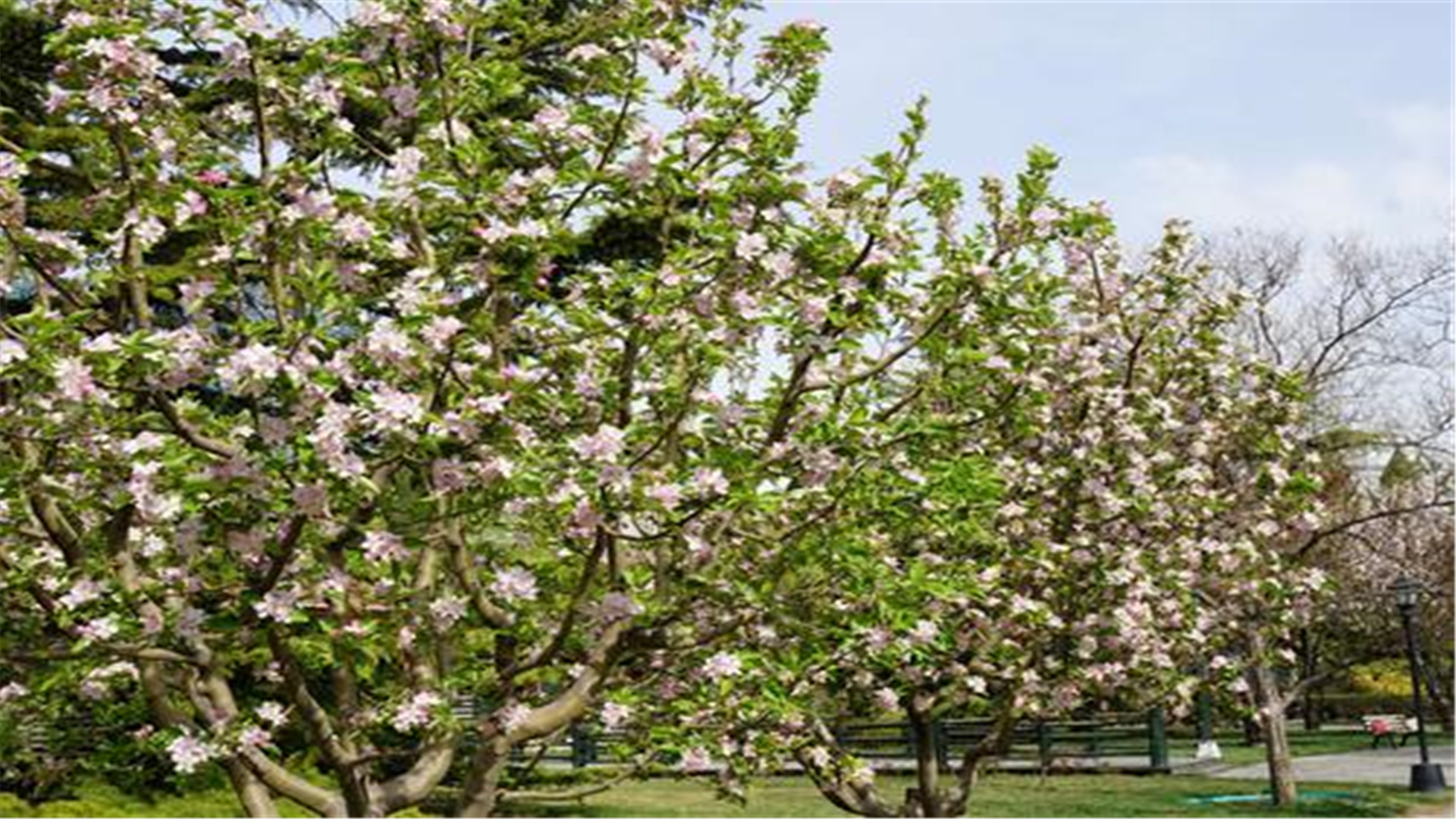 北京的公园门票2元,北京门票良心