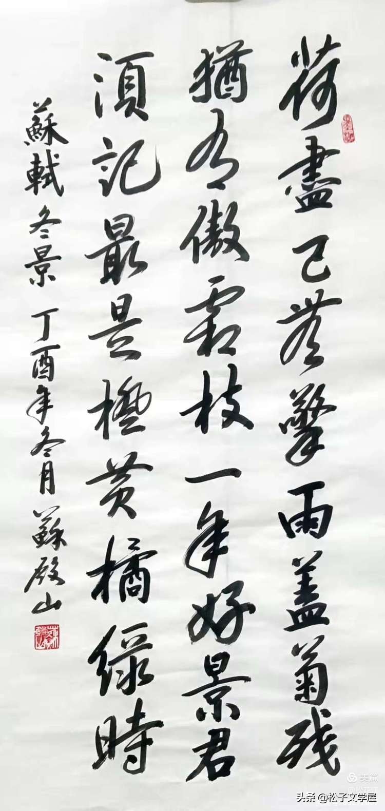 祖国颂水笔书法作品欣赏,祖国颂竖版书法作品