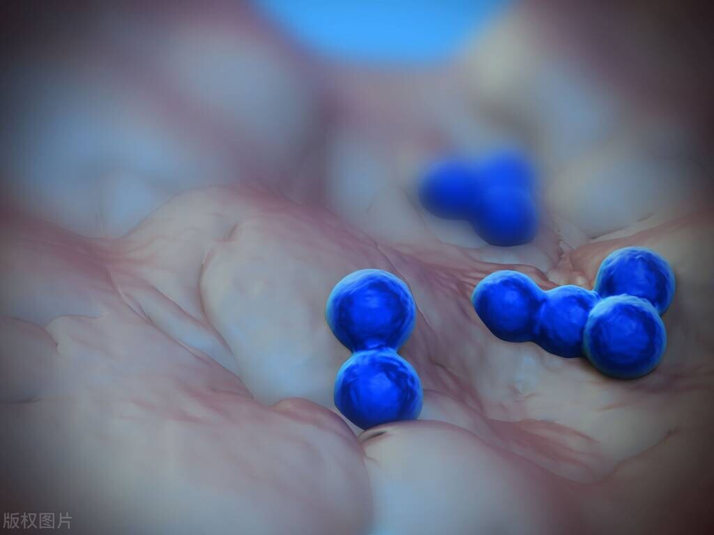 女性长痘痘跟没有男朋友有关系吗,女性下巴长痘痘什么原因