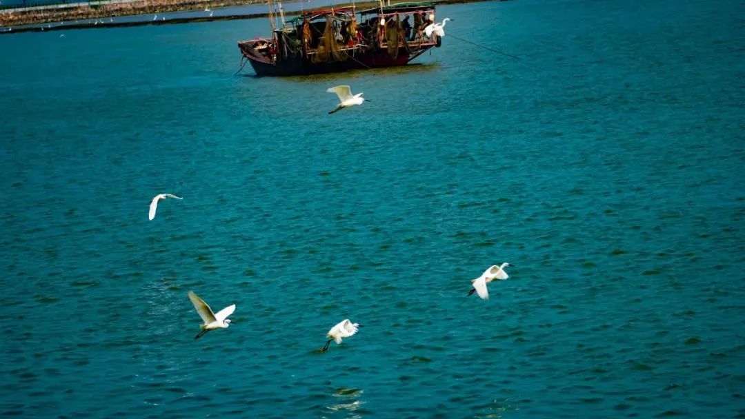 广州户外运动哪里集中,广州户外运动路线