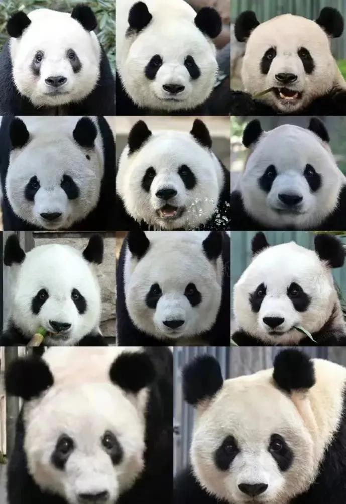 暑假去北京旅游指南攻略大全,暑期北京旅游攻略最新消息