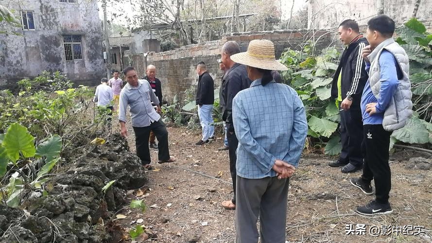 海南巨蟒为报恩当起“保姆”,50年代南海巨蟒事件