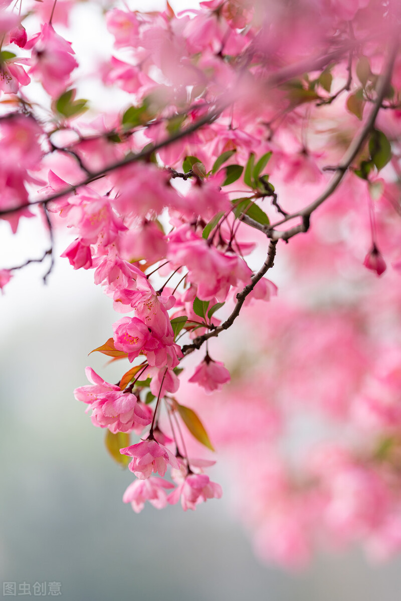 暖心走心的经典短语个性签名,暖心自带哲理的签名句子
