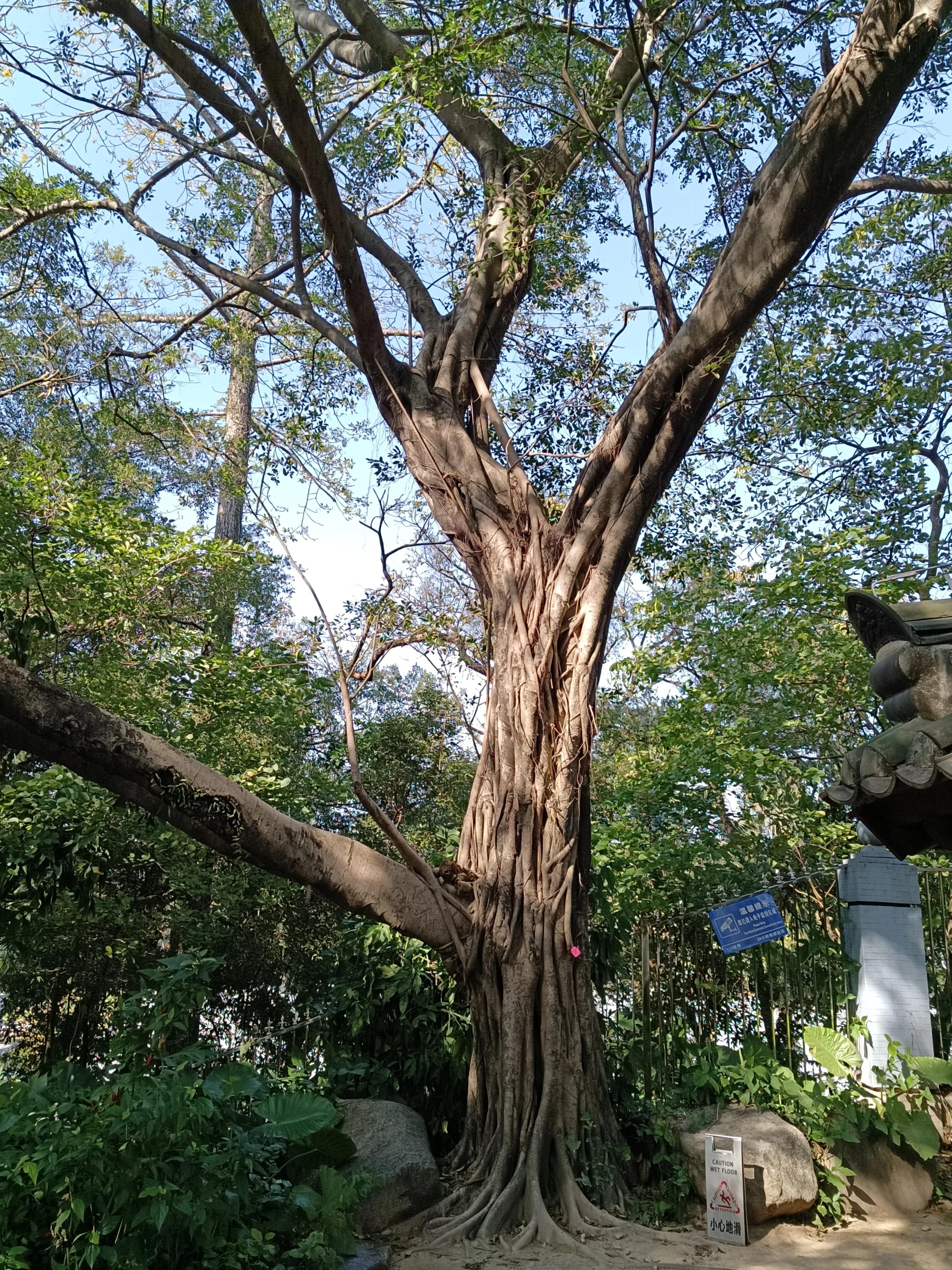 参观广州粤剧博物馆心得,广州旅游全攻略解说