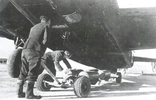 漂泊的鱼完整版,漂泊的鱼鹰