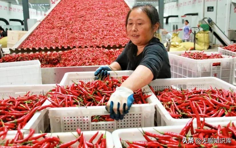 目前做什么加工行业最赚钱,做什么半成品加工生意最赚钱