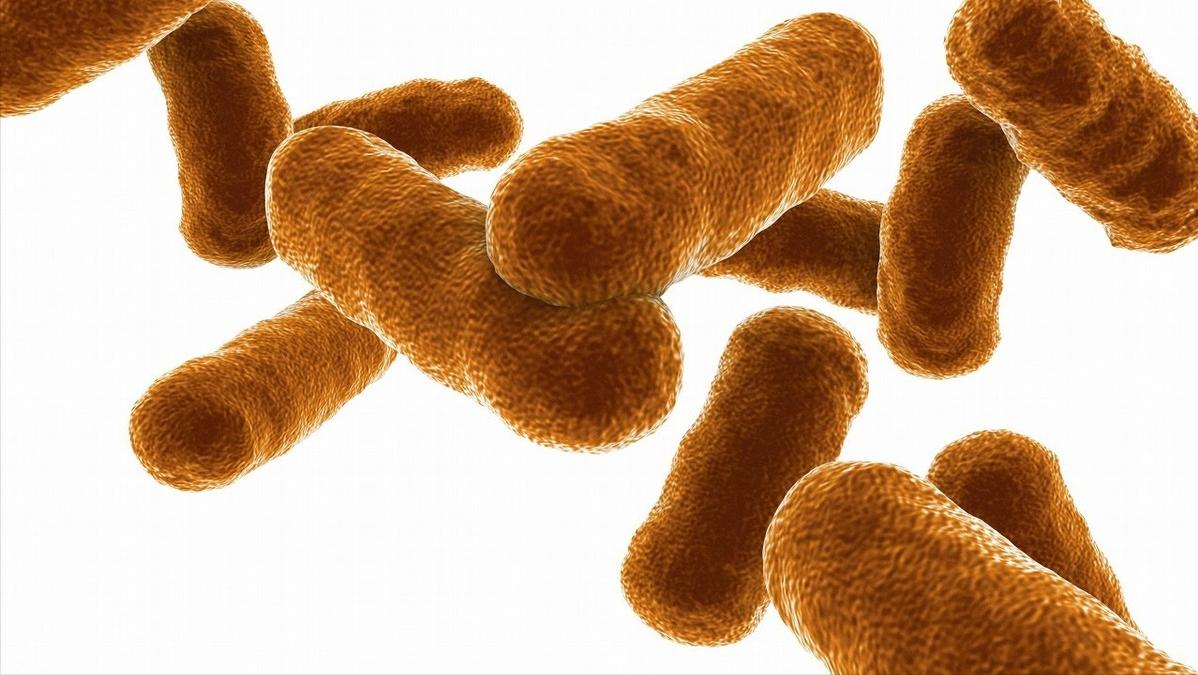 谷丙转氨酶高怎么回事是什么病,谷丙转氨酶高怎么回事严重吗