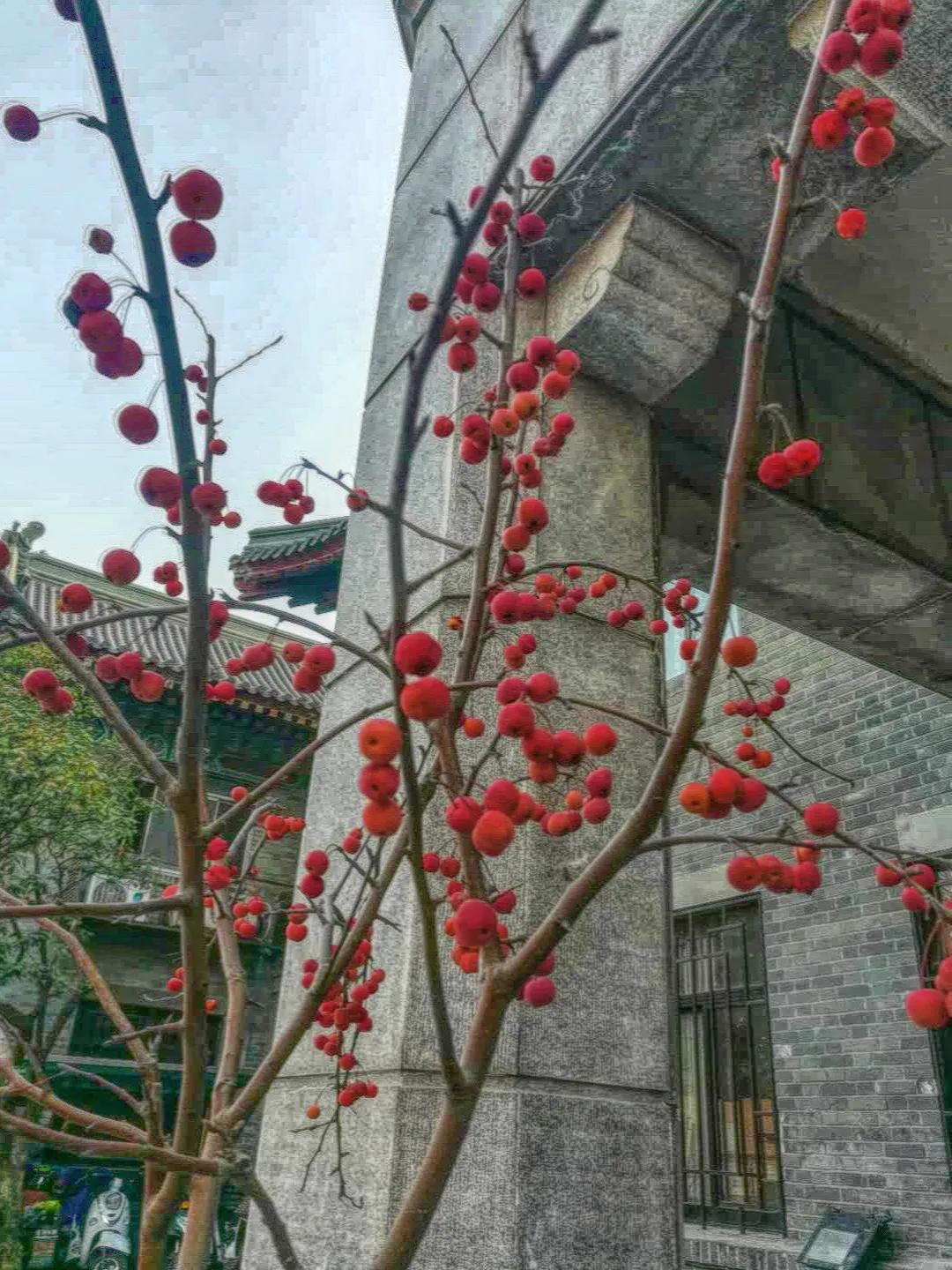 南京军区军人俱乐部,南京17年的军人俱乐部