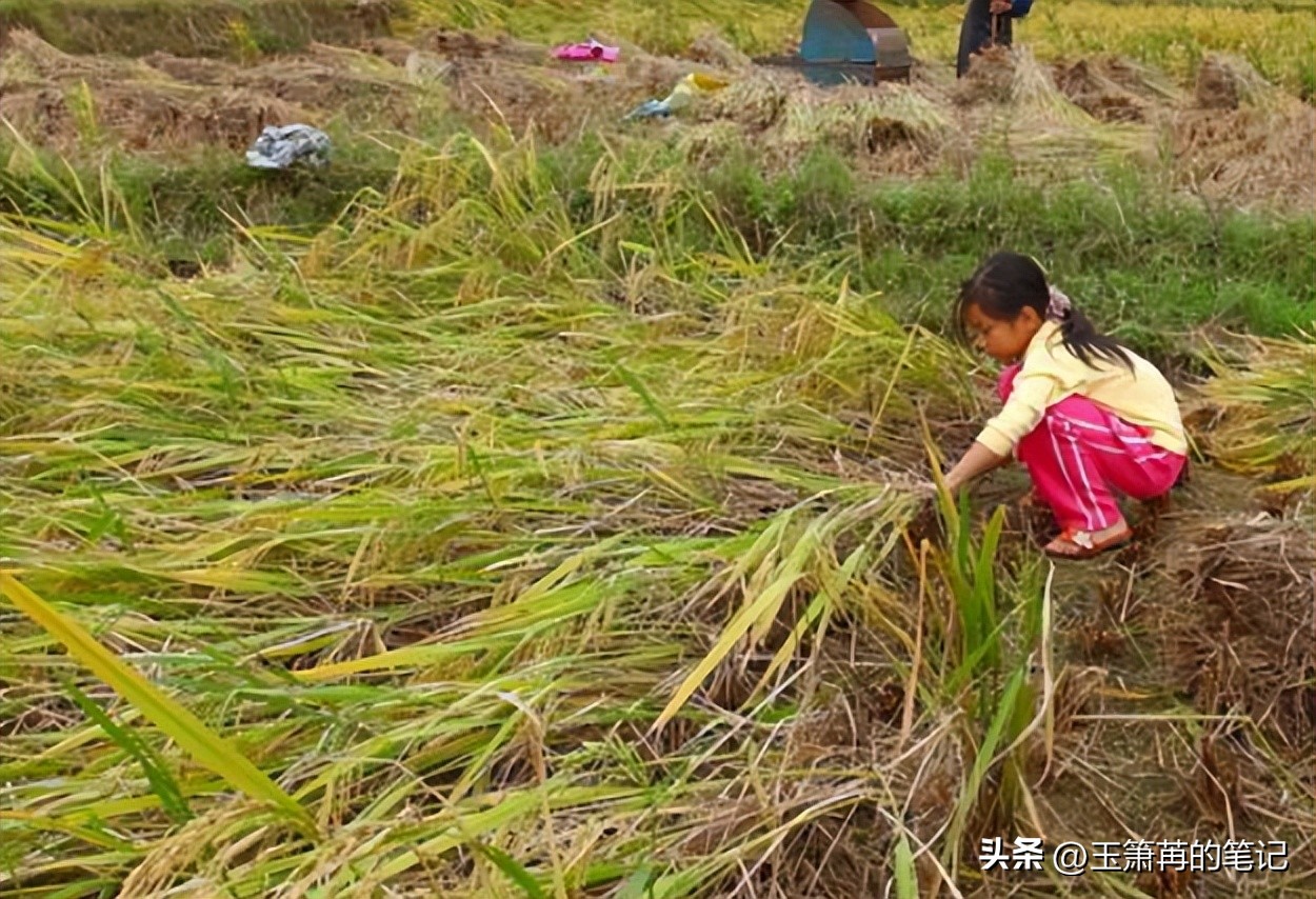 留守儿童心理辅导分析,留守儿童如何教育关爱和心理辅导