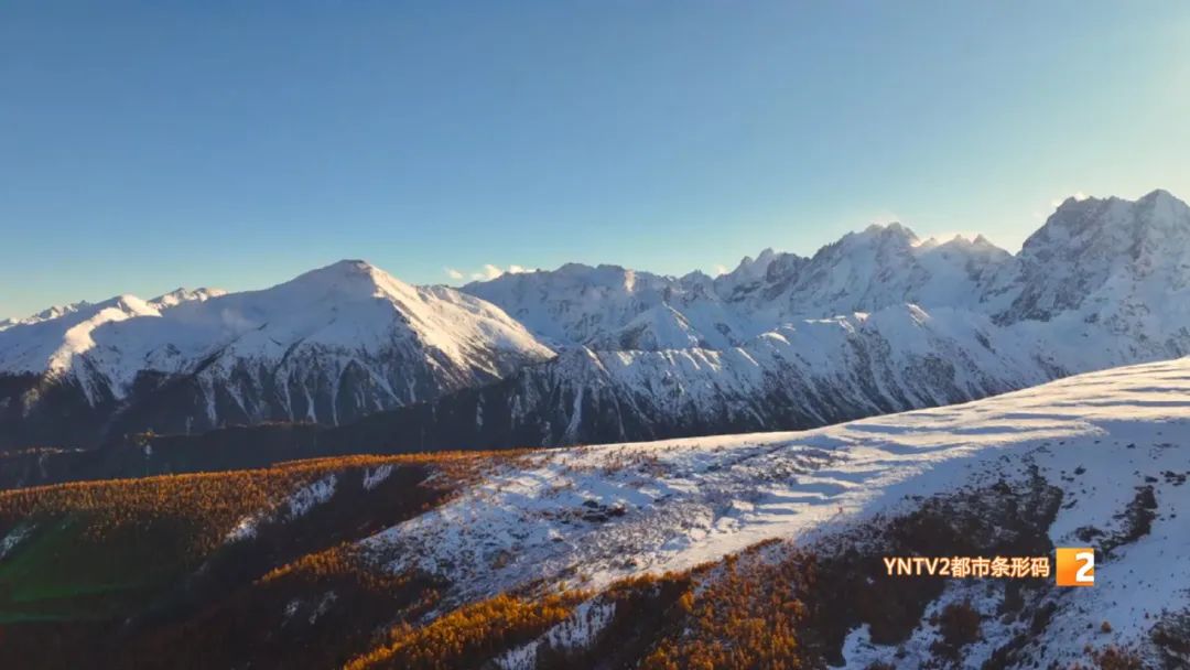 秋天的云南哪里漂亮又美丽,有一种美叫云南的秋天美景