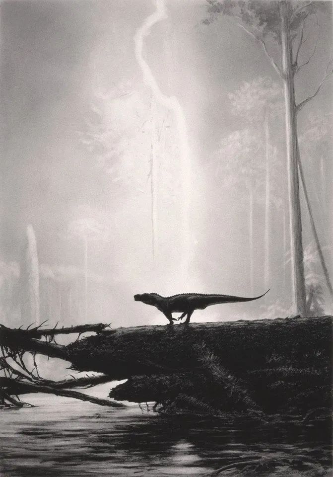 地球简史书籍完整版,地球简史46亿年的奇迹