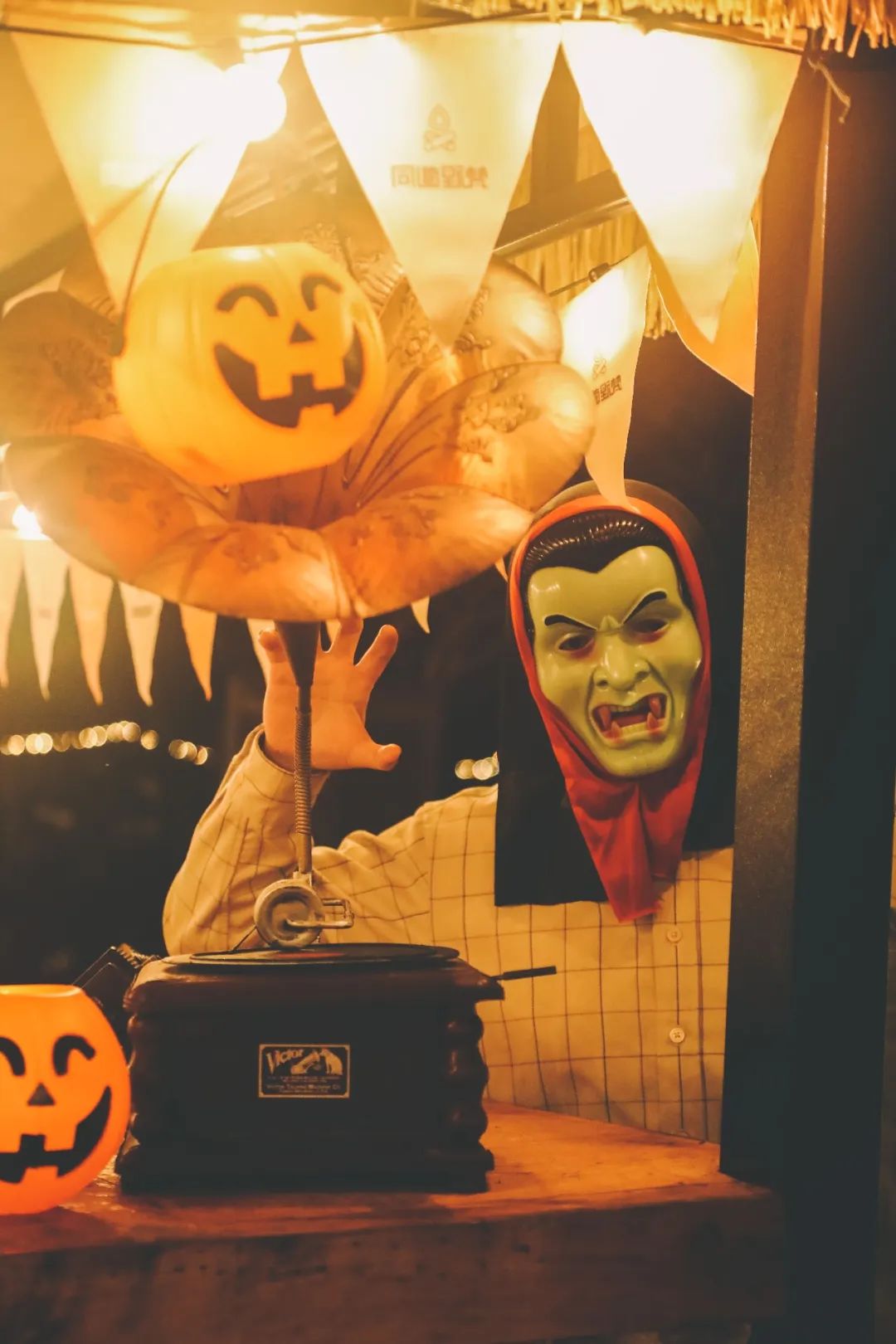 萌宠万圣狂欢夜,萌宠露营云龙区