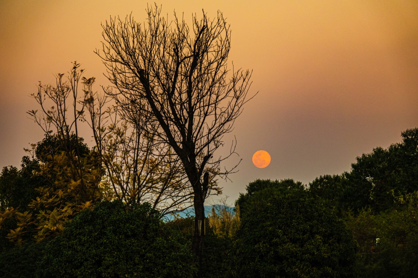城子古村的传说,世外桃源城子古村