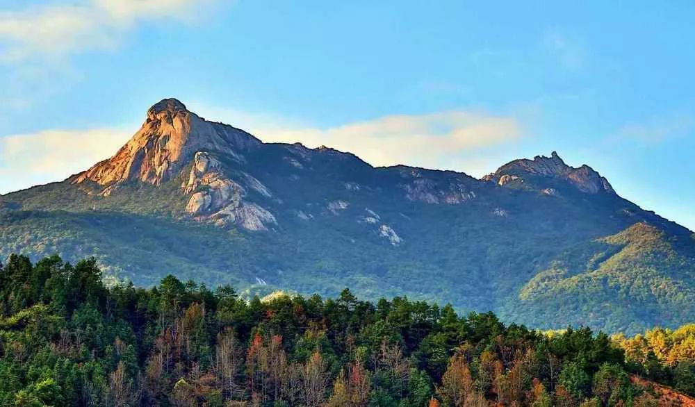 letsgo一周目图文攻略,letsgo图鉴攻略