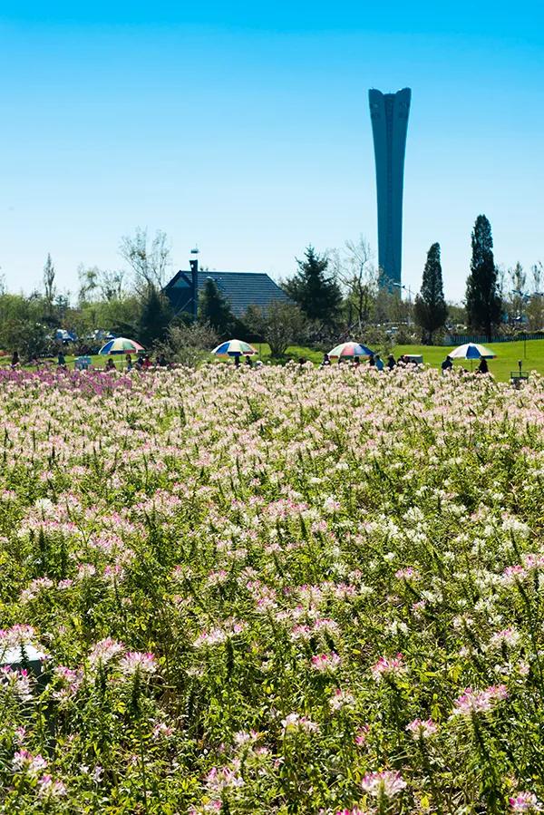 辽宁锦州世博园旅游,辽宁锦州世博园