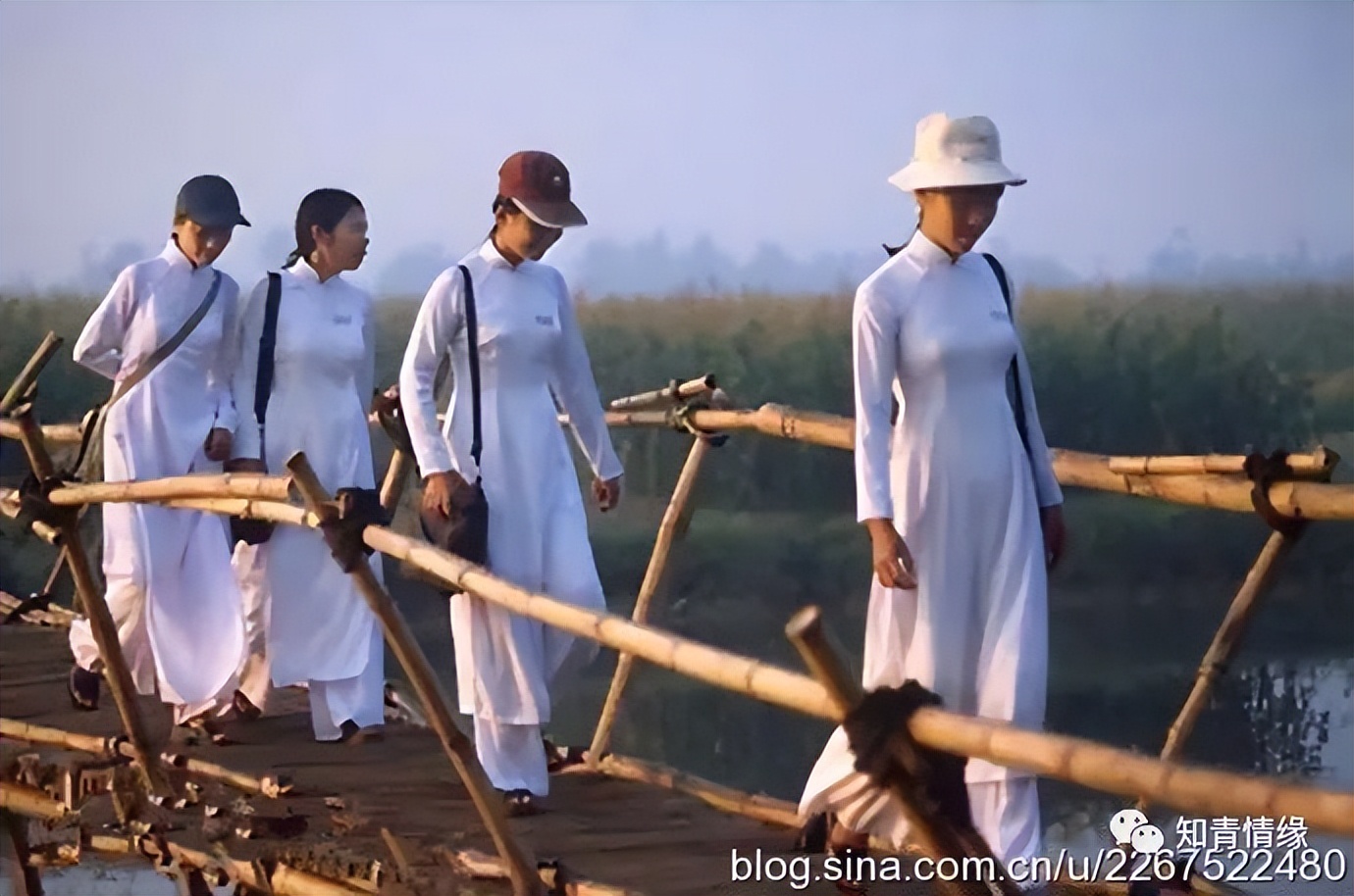 越南美女穿中国风旗袍,越南穿旗袍的民族美女