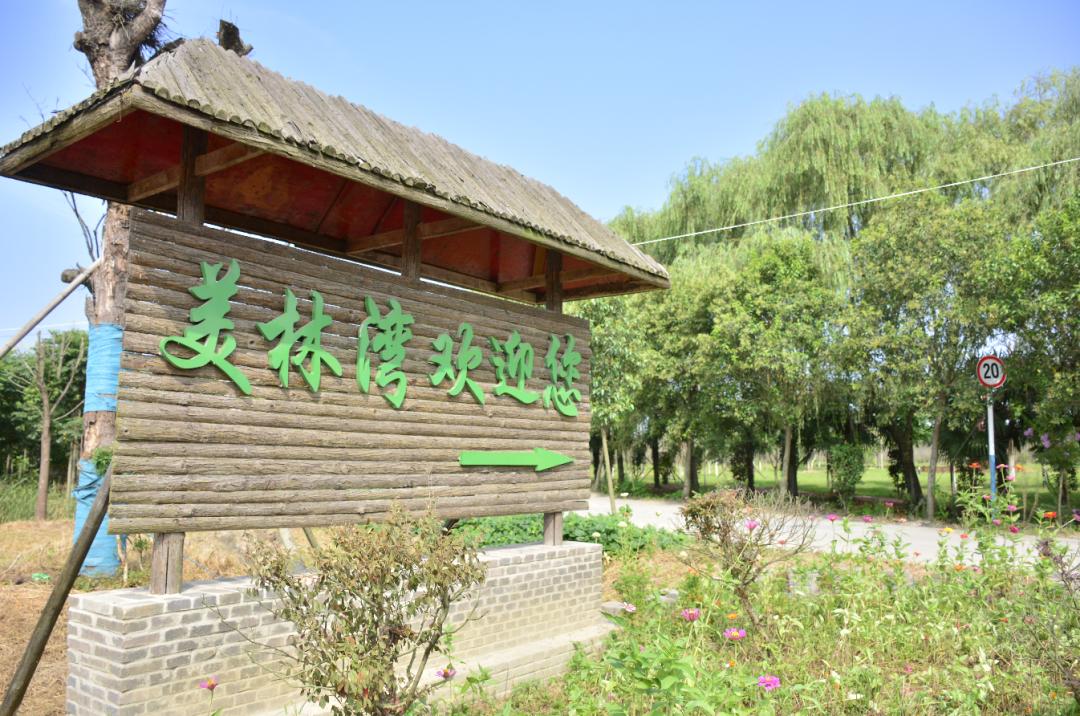 孩子们的快乐星球！周末带娃，肥西这些地方就够啦！