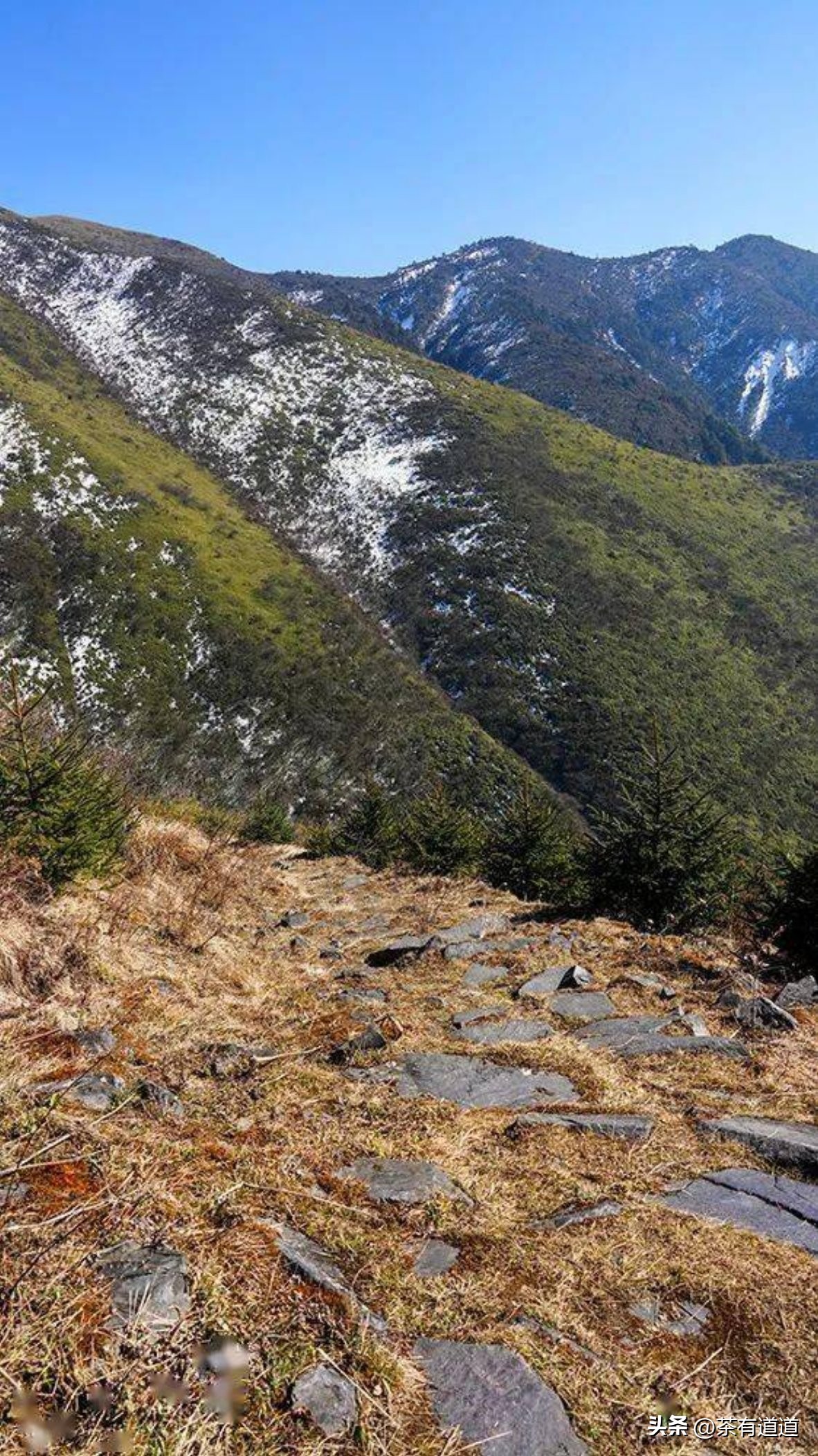 荥经茶马古道徒步线路,雅安荥经茶马古道穿越