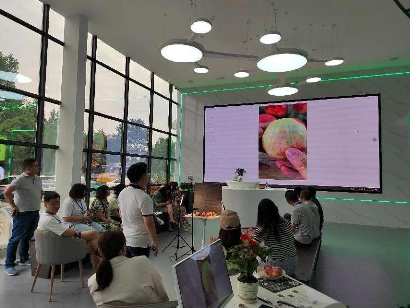 学电商运营,学电商运营培训机构