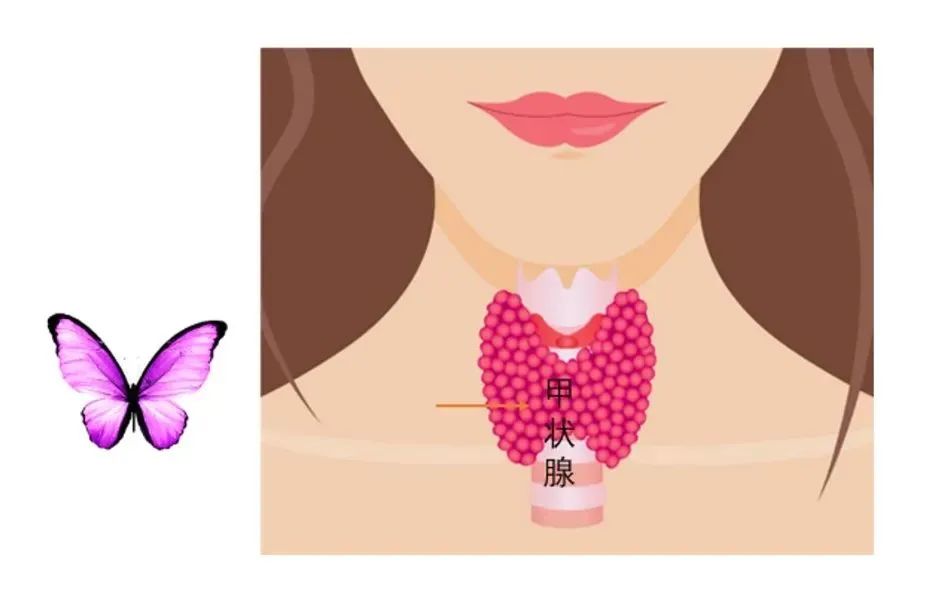 当怀孕遇上重感冒,当怀孕遇见甲亢