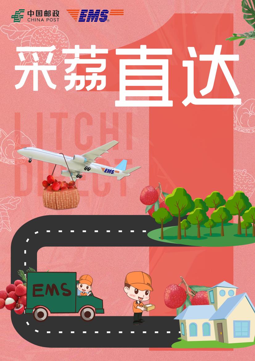 品牌设计成功案例分析,品牌创业设计案例分享