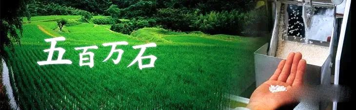 日本酒地图,日本最好的小麦酒