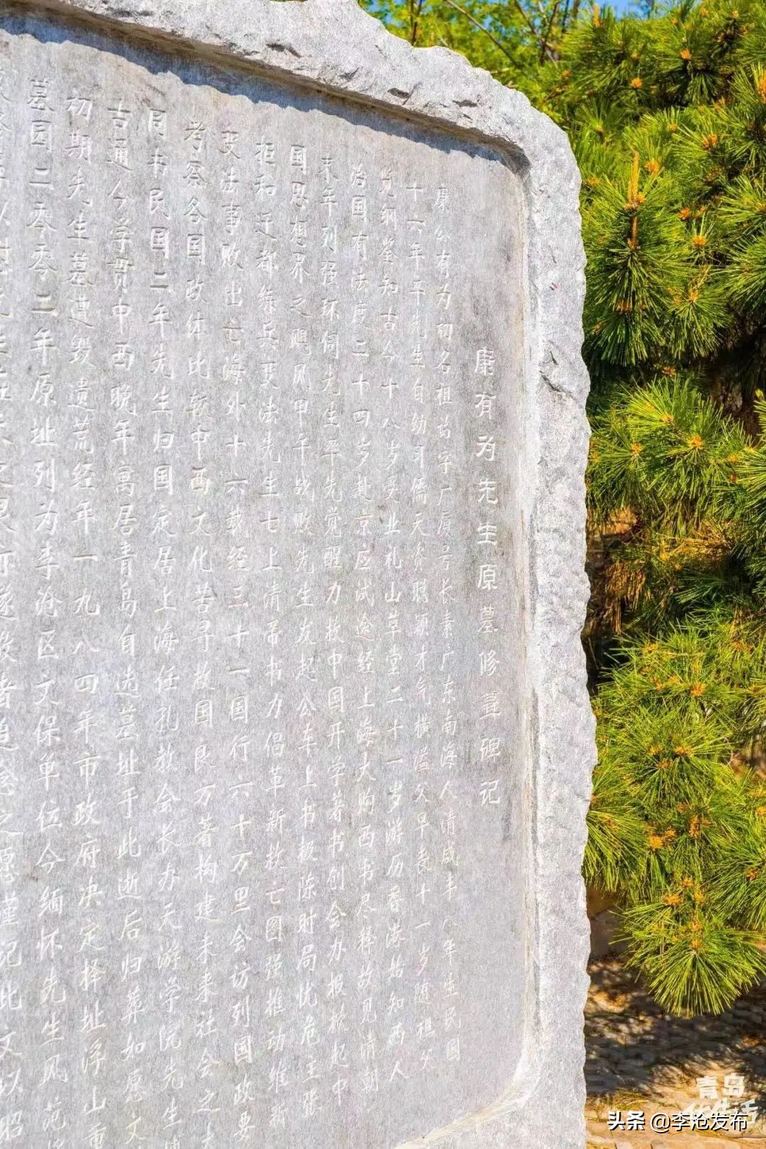 绿荫的夏天，快来解锁李沧这个小众宝藏之地！