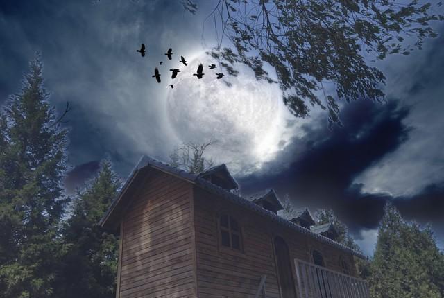 禁忌之恋中的爱情观,禁忌爱情深度解析