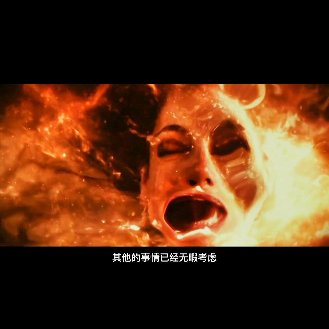 dou+小助手是什么,dou+代码怎么生成