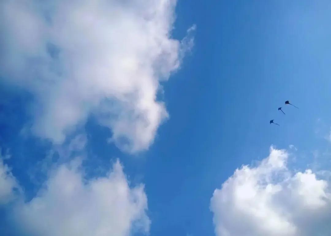 如何做好一名车险销售,怎样做一名车险销售员