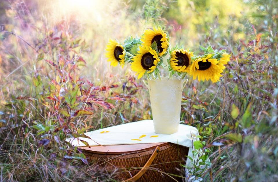 怎么运营小红书的权重,咋样运营小红书店铺赚钱