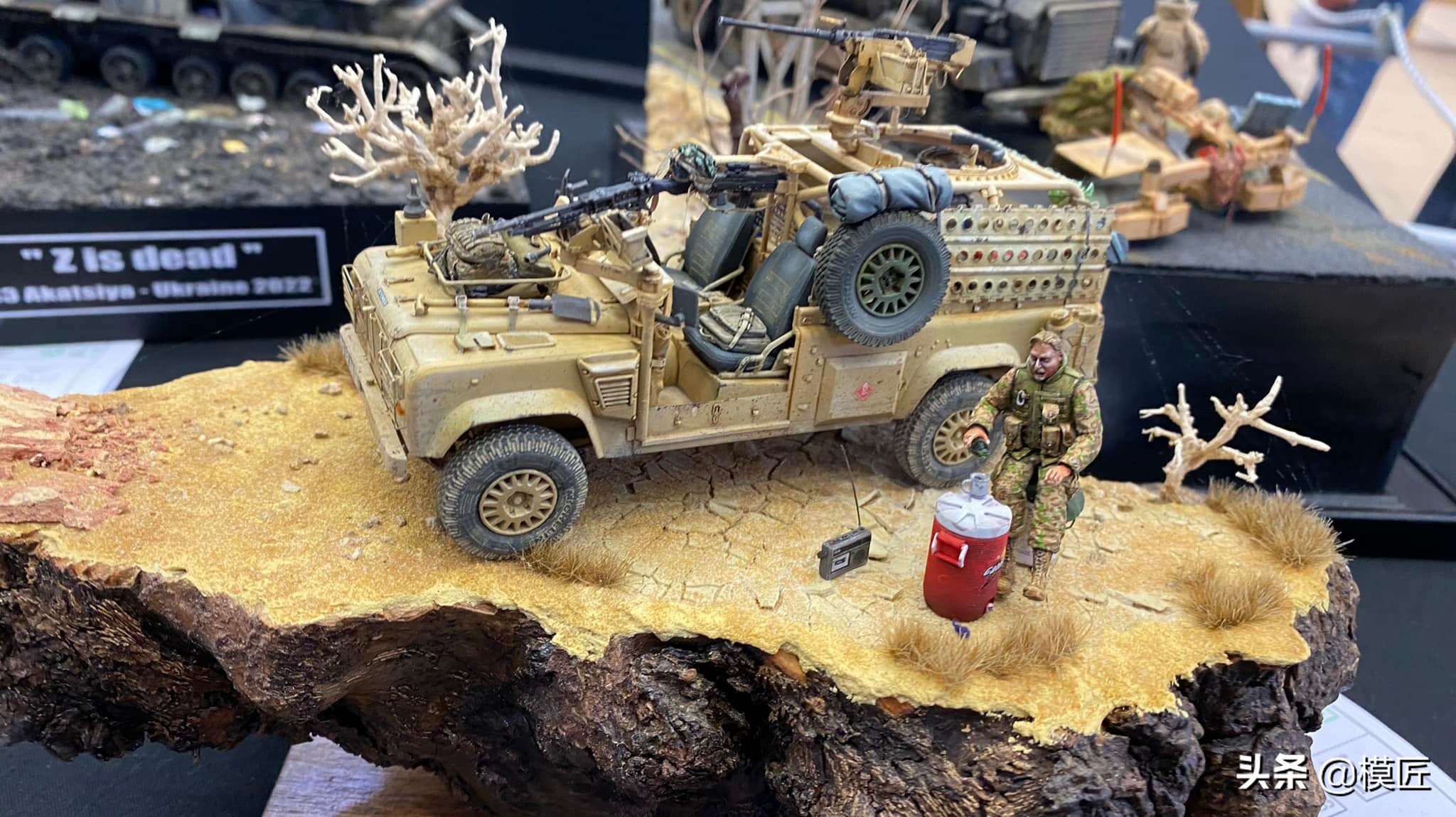 匈牙利莫森金奖,莫森模型展