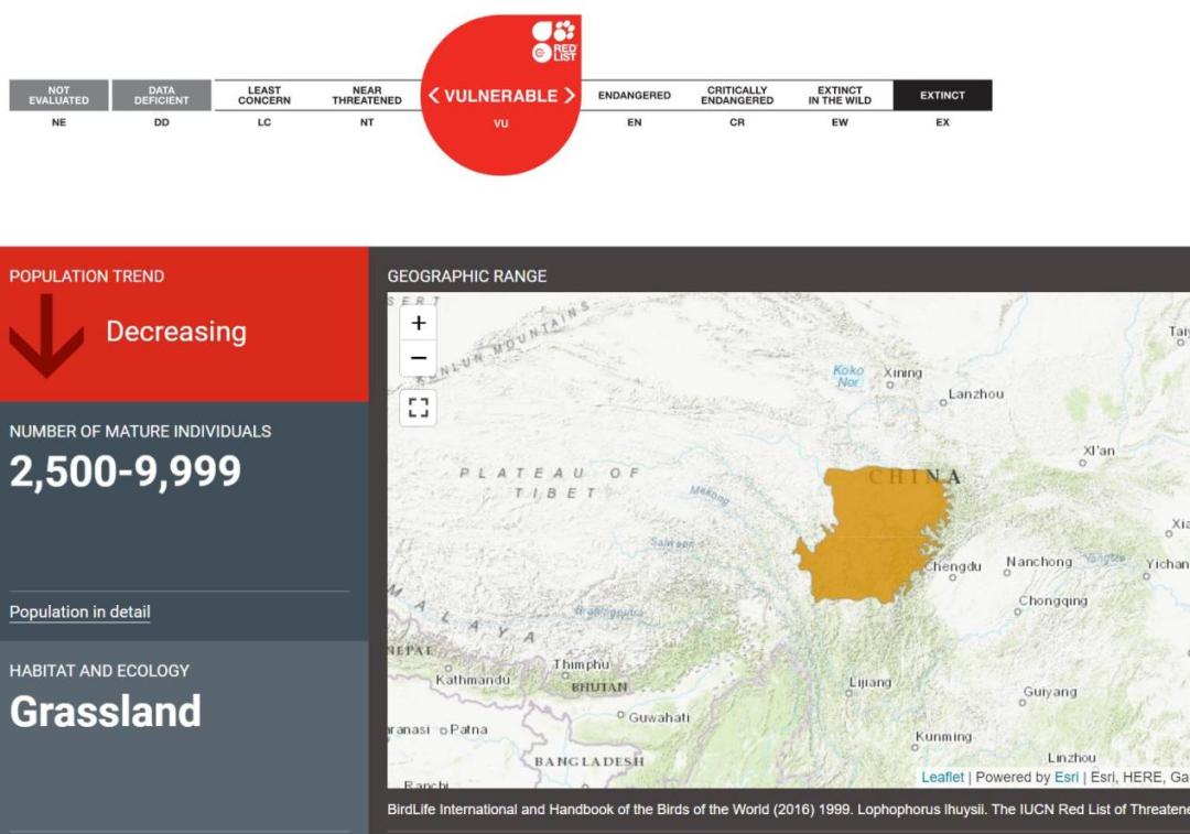 西昌市市鸟,西昌市鸟是哪种