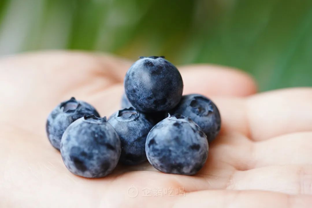 最近新出哪些水果好吃点,十大又贵又不好吃的水果