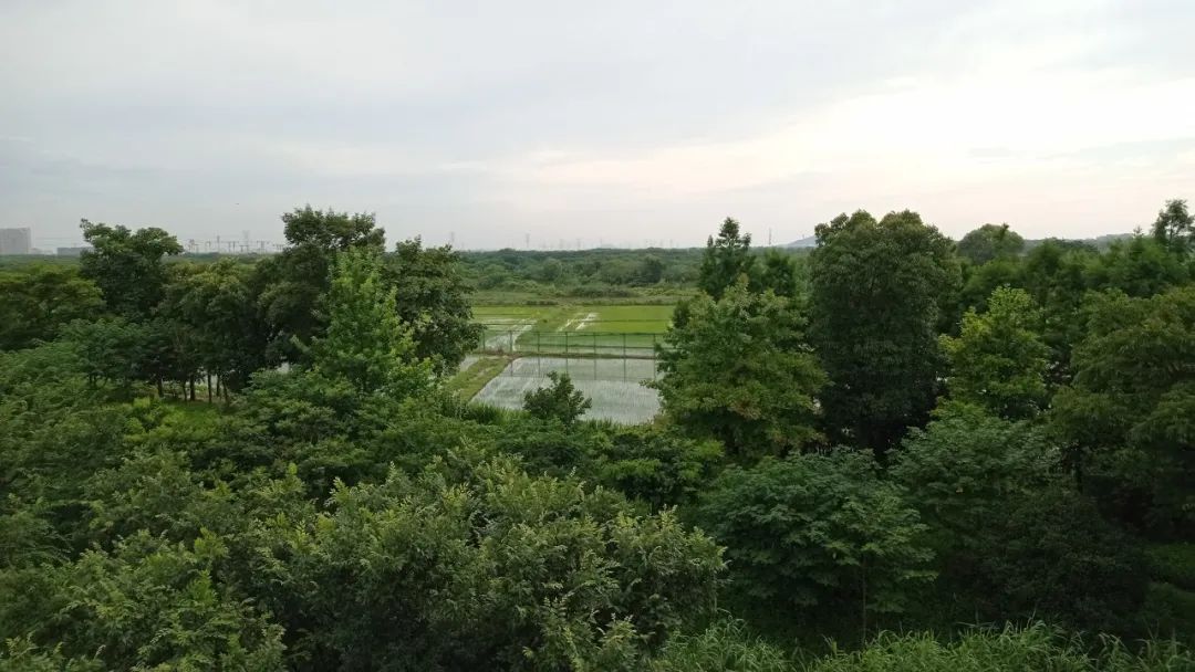 松江洞泾板块未来发展,上海松江洞泾未来5年发展