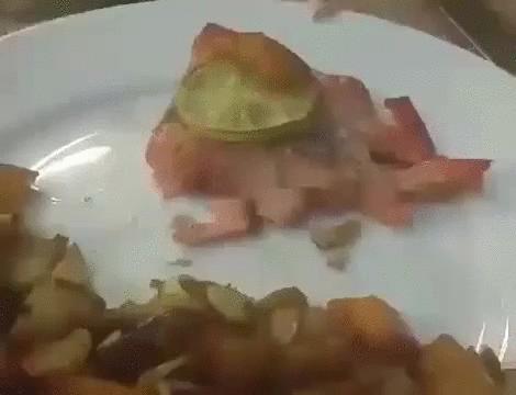 100个难得一见照片，砍伐巨树，运输军舰的巨轮，治疗风湿病的熊