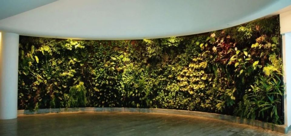 日式小景观,小清新景观