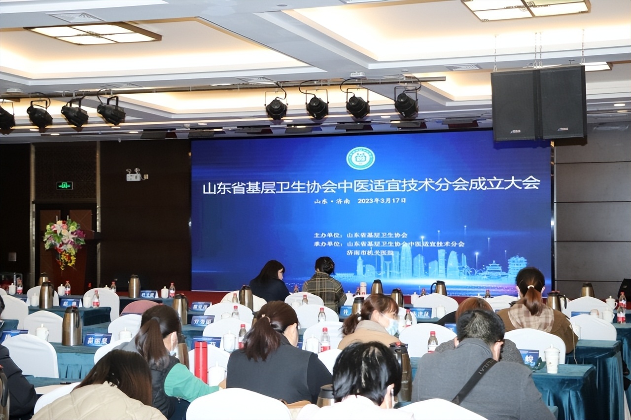 山东省基层卫生协会医学康复分会,中国中医手法与健康协会成立大会