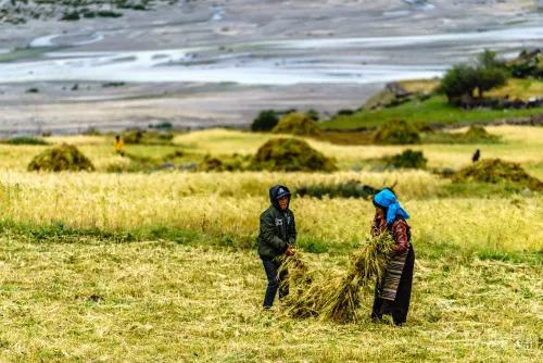 记录青藏高原快乐之旅,青藏高原经典之旅