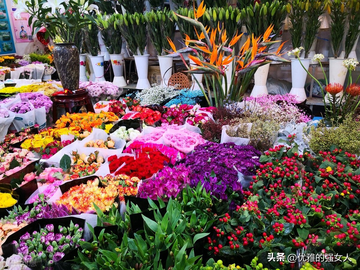 以爱国为主题的作文高二,以爱国为主题的作文带赏析