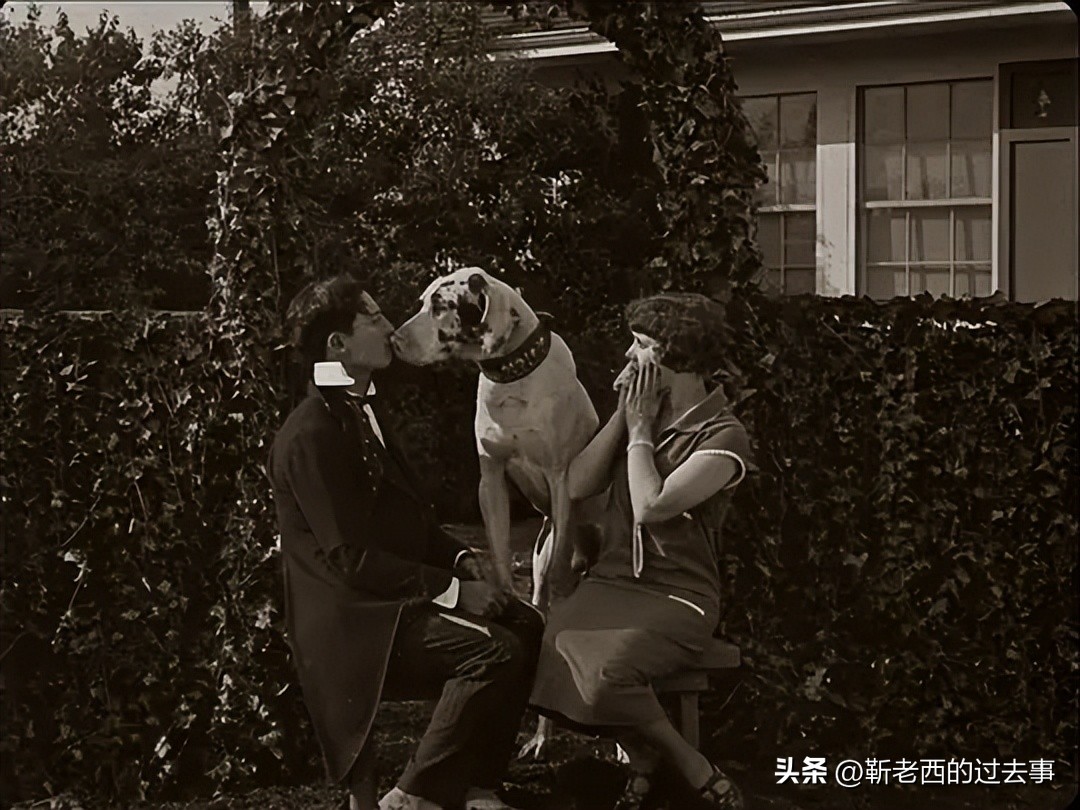 电影创作中情绪的积累和释放,电影叙事的八大要素