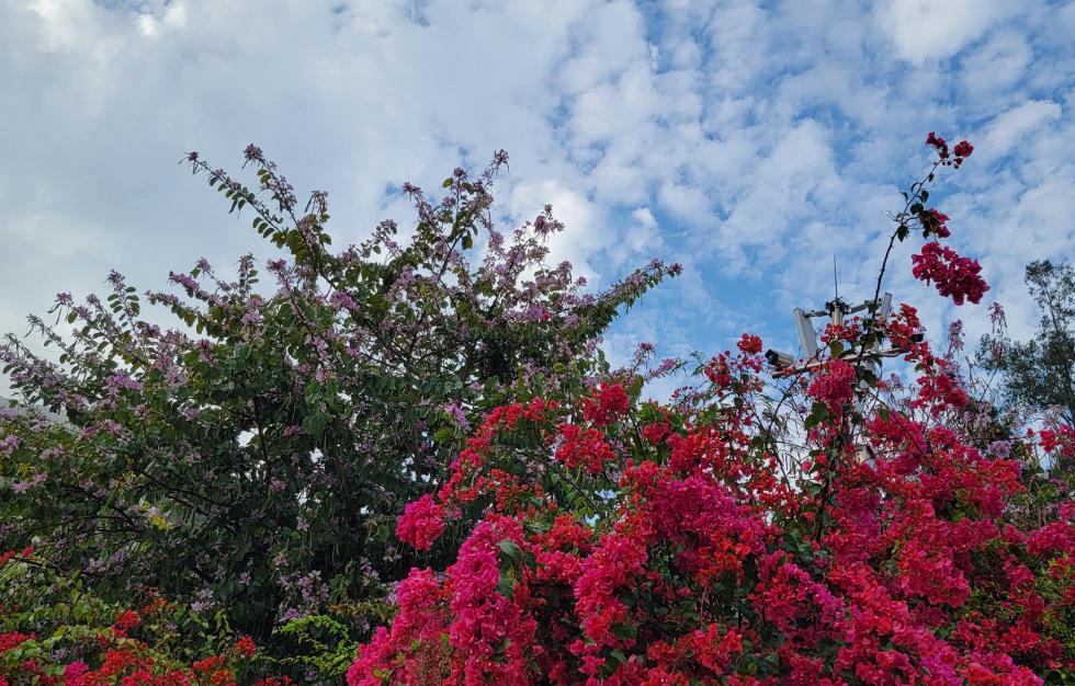 闲适诗15首经典,最有趣的六首诗让人从头笑到尾