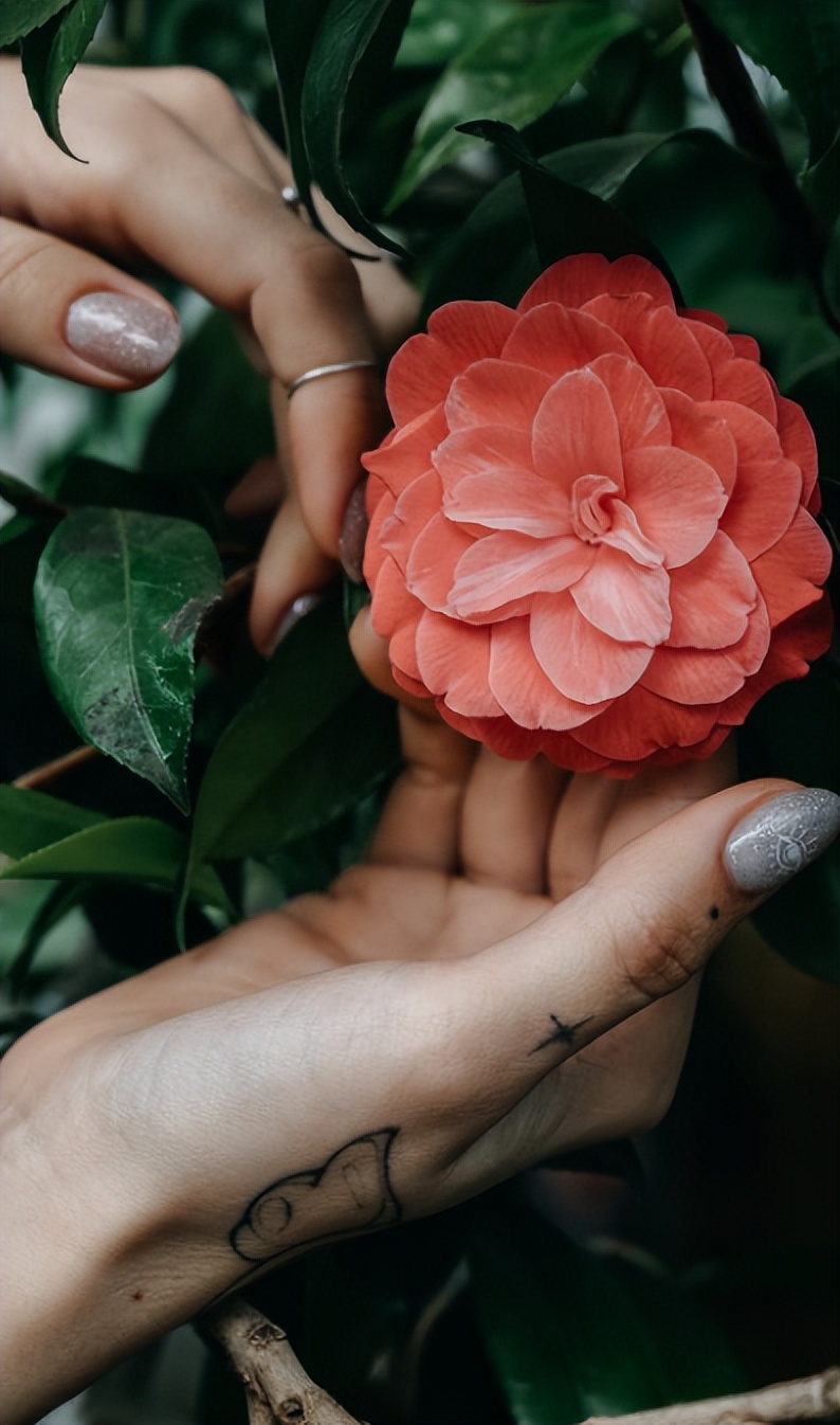 现代时尚生态木门风格,现代自然门