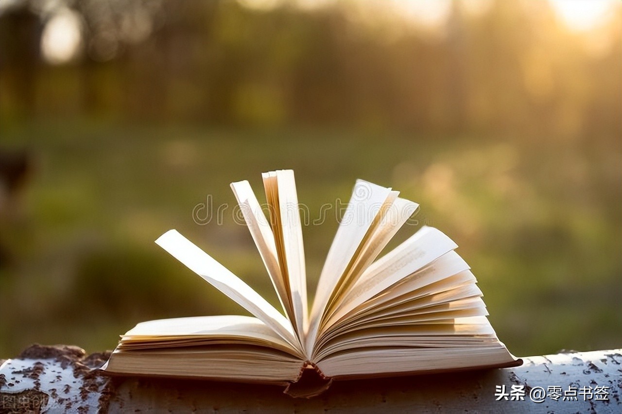 大智若愚的人看起来不太聪明,人要有大智慧而不能有小聪明