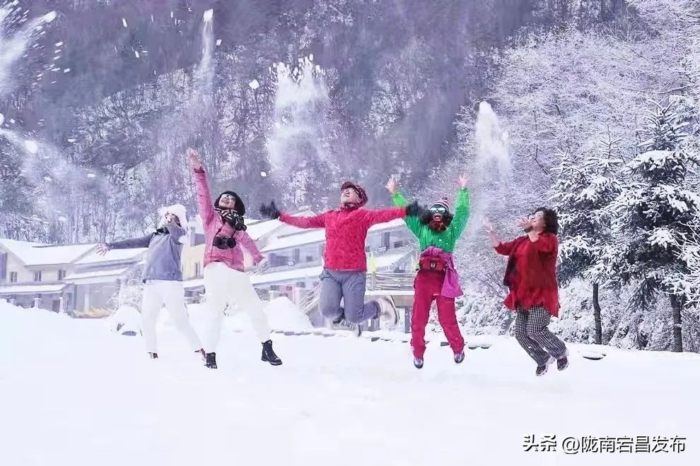 陇南经济运行情况,陇南市稳经济稳增长大会召开