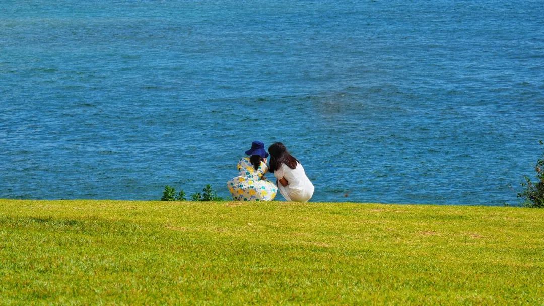 最好的人际关系藏在三七定律,四大人际关系定律记住受益终身