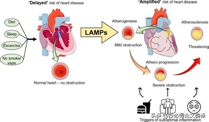 博士生看什么网站或者论坛,研究生博士生有空闲时间玩吗