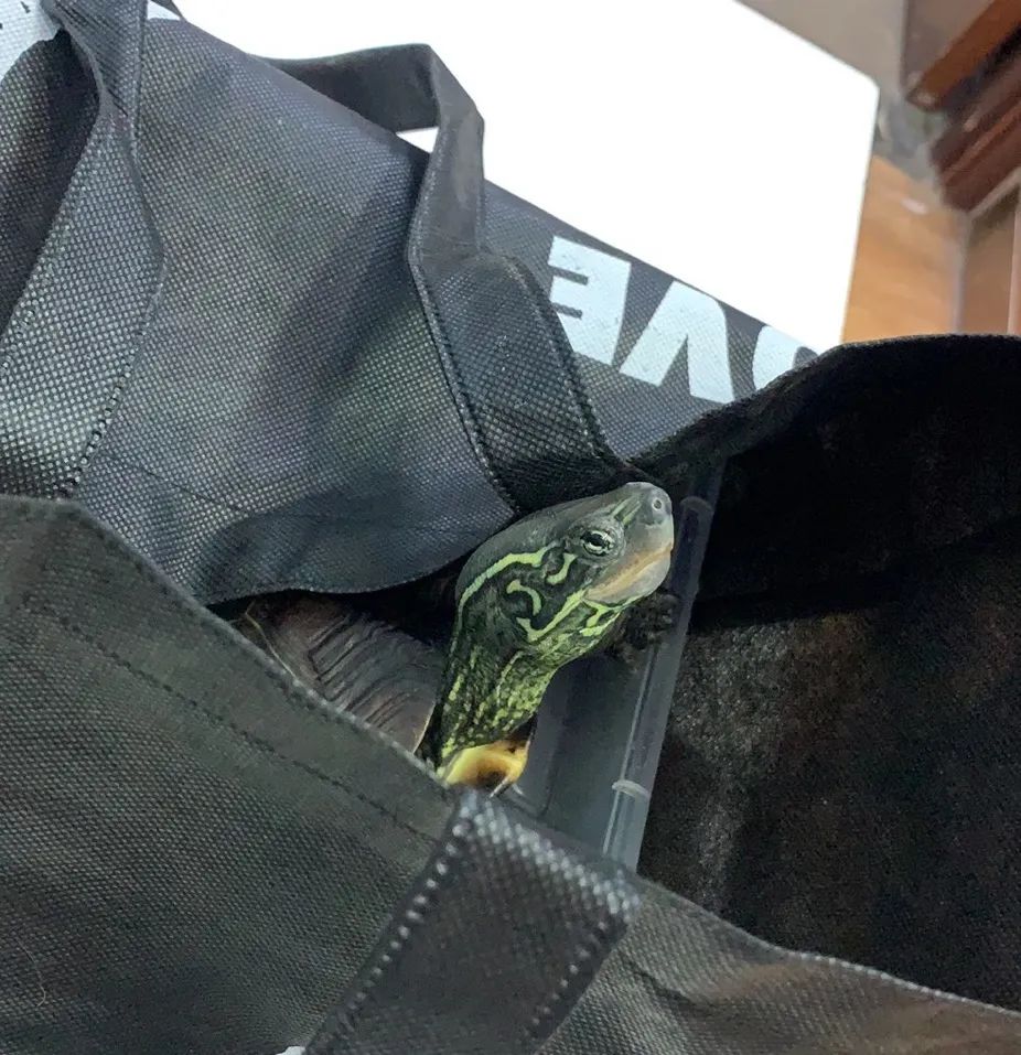 7月份人来人往街道,7月北京人山人海