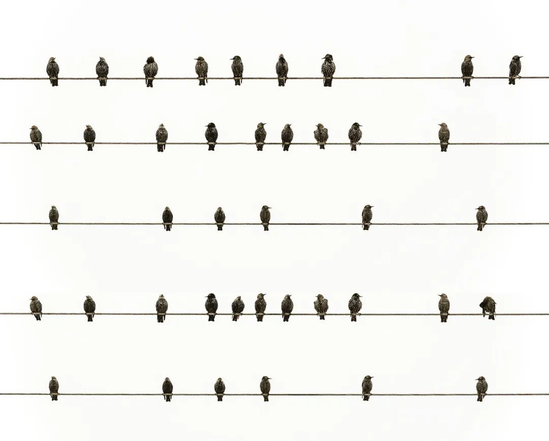 两高一部正当防卫,两高一部发文惩治网暴